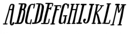 Boho Serif Bold Italic Font UPPERCASE