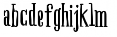 Boho Serif Bold Font LOWERCASE