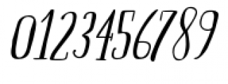 Boho Serif Italic Font OTHER CHARS