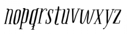 Boho Serif Italic Font LOWERCASE