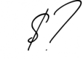 Boardsky Monoline Signature Font Font OTHER CHARS