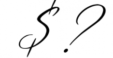 Bomtrys Script Font & Illustrations 1 Font OTHER CHARS