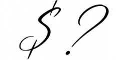 Bomtrys Script Font & Illustrations 2 Font OTHER CHARS