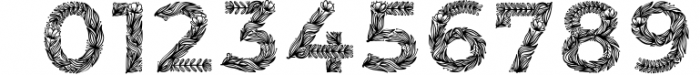 Bozo Monogram Font Font OTHER CHARS