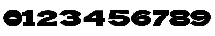 BoldieSlab-SemiCondensed Font OTHER CHARS