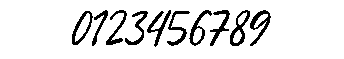 Bonskin Font OTHER CHARS