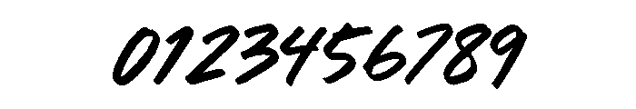 Born Wild Font OTHER CHARS