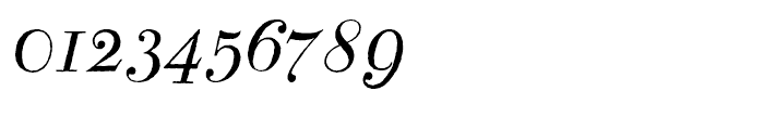 Bodoni Classic Hand Medium Italic Font OTHER CHARS