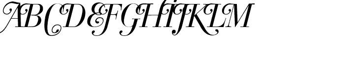 Bodoni Classics Italic Swash Font UPPERCASE
