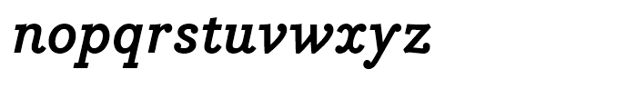 Bodoni Egyptian Bold Italic Font LOWERCASE