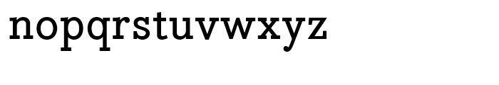 Bodoni Egyptian Medium Font LOWERCASE