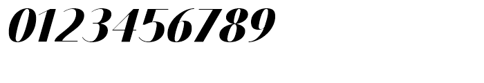 Bodoni Sans Display Black Italic Font OTHER CHARS