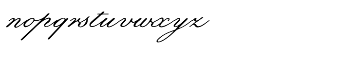 Botanical Scribe Regular Font LOWERCASE