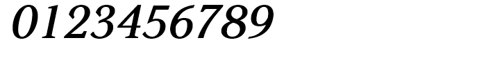 Boutros Latin Serif Bold Italic Font OTHER CHARS