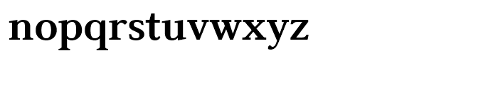 Boutros Latin Serif Bold Font LOWERCASE