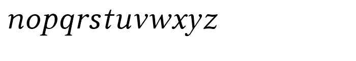 Boutros Latin Serif Italic Font LOWERCASE
