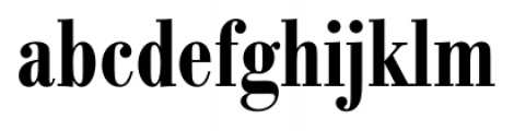 Bodoni Recut FS DemiBold Condensed Font LOWERCASE