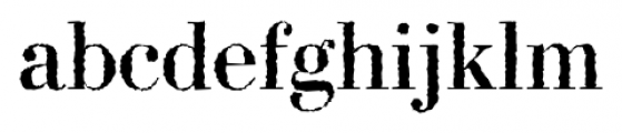 Bodoni Rough Font LOWERCASE