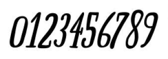 Boho Serif Bold Italic Font OTHER CHARS