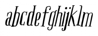 Boho Serif Italic Font LOWERCASE