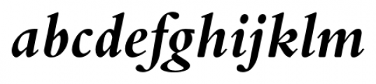 Borgia Pro Bold Italic Font LOWERCASE