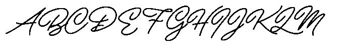 Bobber Bold & Cubs Script Cubs Script Light Italic Font UPPERCASE