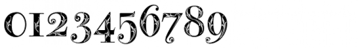 Bodoni Classic Bold Ornate Font OTHER CHARS