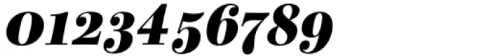 Bodoni Elegant Extra Bold Italic Font OTHER CHARS