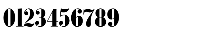 Bodoni FB Condensed Bold Font OTHER CHARS