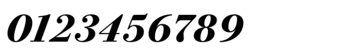 Bodoni PT Subhead Extra Bold Italic Font OTHER CHARS