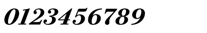Bodoni PT Text Bold Italic Font OTHER CHARS