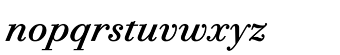 Bodoni PT Text Medium Italic Font LOWERCASE
