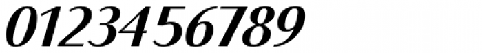 Bodoni Sans Text Bold Italic Font OTHER CHARS