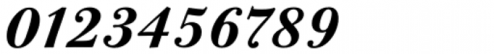 Bodoni Twelve Std Bold Italic Font OTHER CHARS