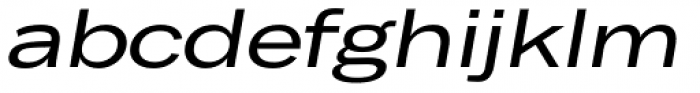 Body Text Large Italic Font LOWERCASE