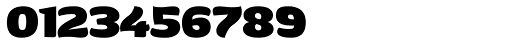 Boldina Serif CE Font OTHER CHARS