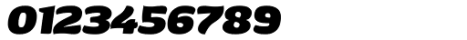 Boldina Serif Italic One Font OTHER CHARS