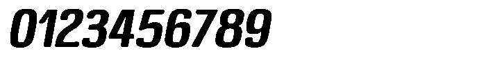 Bolera Bold Oblique Font OTHER CHARS