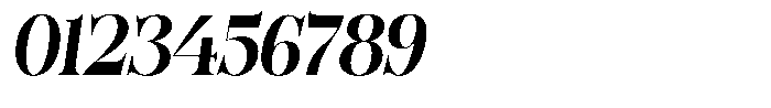 Bonarchi Bold Condensed Italic Font OTHER CHARS