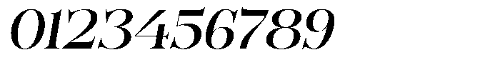 Bonarchi Medium Sem Exp Italic Font OTHER CHARS