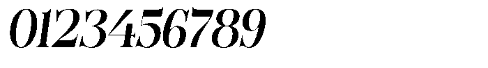 Bonarchi Sem Bold Condensed Italic Font OTHER CHARS