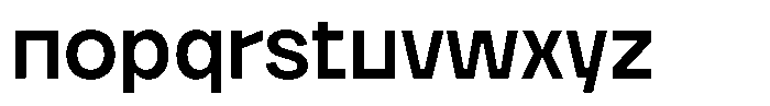 Borgu Book Font LOWERCASE