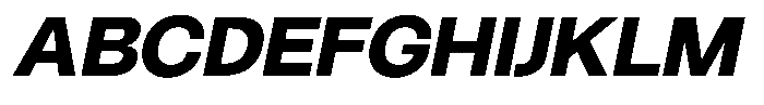 Borsche Extra Bold Italic Font UPPERCASE