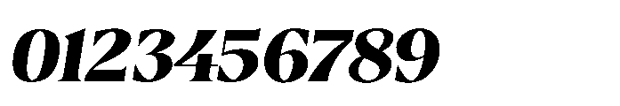 Borth Tropical Italic Font OTHER CHARS