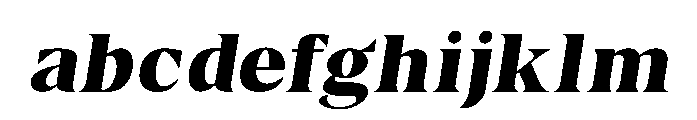 Borth Tropical Italic FONT