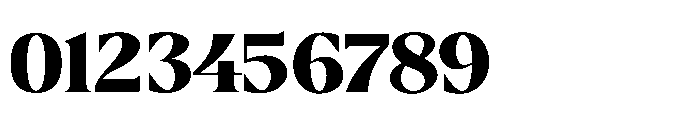 Borth Tropical Regular Font OTHER CHARS