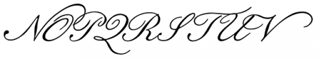 Botanical Scribe Font UPPERCASE