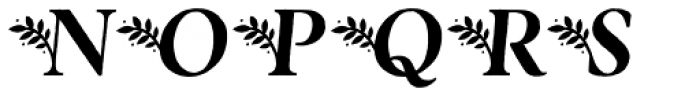 Botany Italic Font UPPERCASE