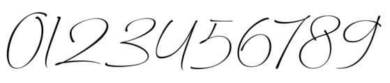 Bottuckey Font OTHER CHARS