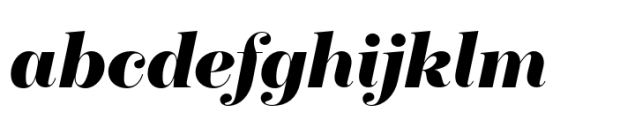Boutique Serif L Extra Bold Italic Font LOWERCASE